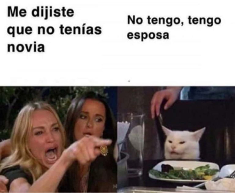 As Naci El Meme Del Gato Que Arrasa En Redes Sociales