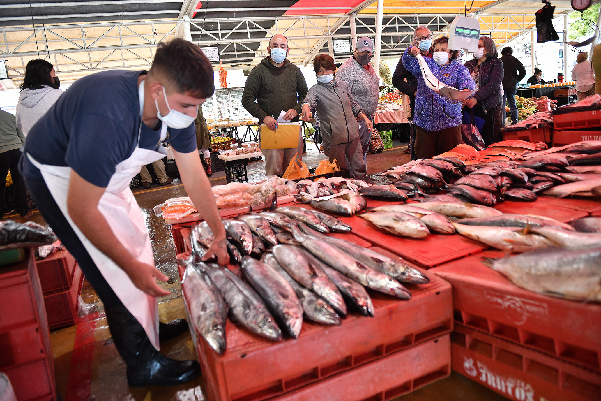 Semana Santa Precios De Pescados Llegar An A Los Mil