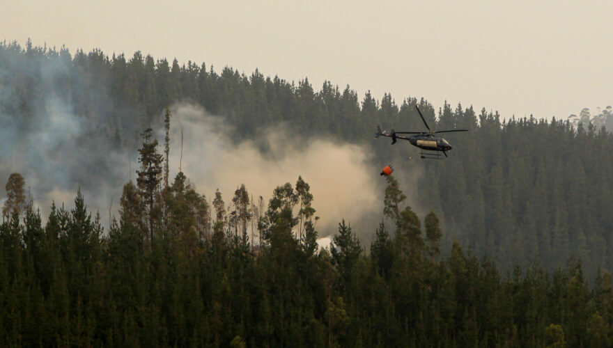 Se Extiende La Preocupación Por Los Incendios Declaran Alerta Roja En